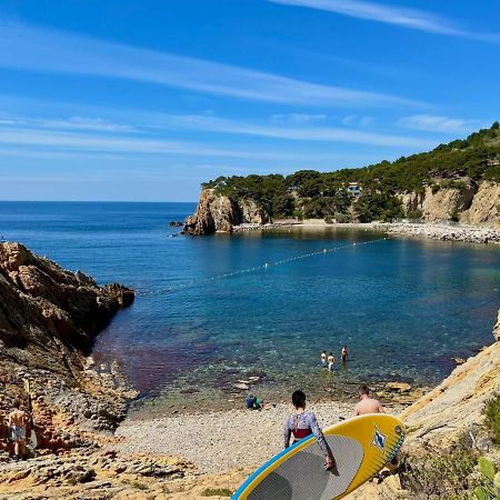 Appartement Au Calme, Calanque Des Figuieres 앙수에-라-레돈느 외부 사진