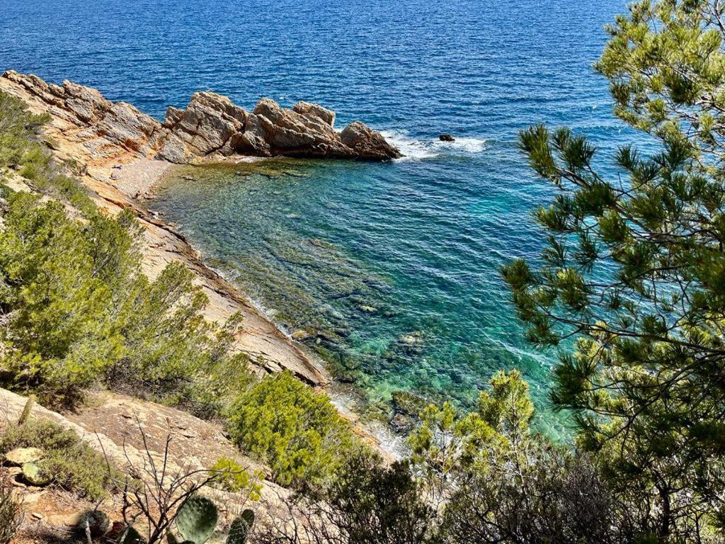 Appartement Au Calme, Calanque Des Figuieres 앙수에-라-레돈느 외부 사진